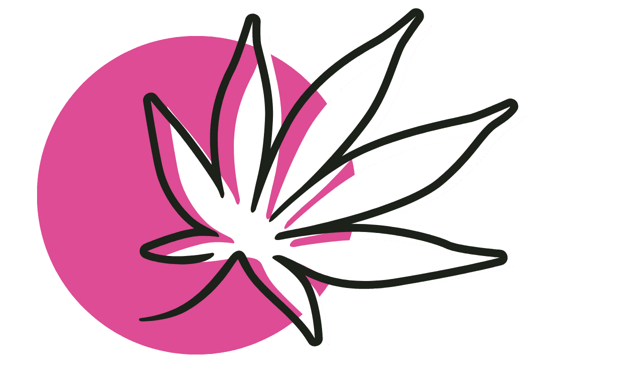 Pinker Kreis mit einem weißen Cannabisblatt als Illustration