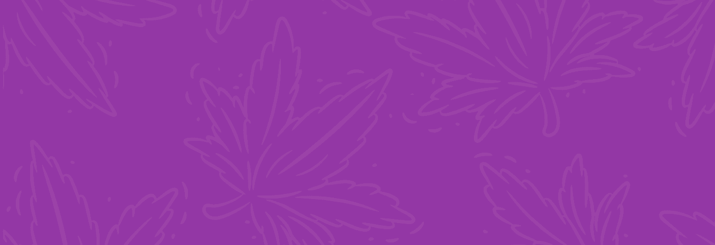 Lila Hintergrund mit Cannabisblätter